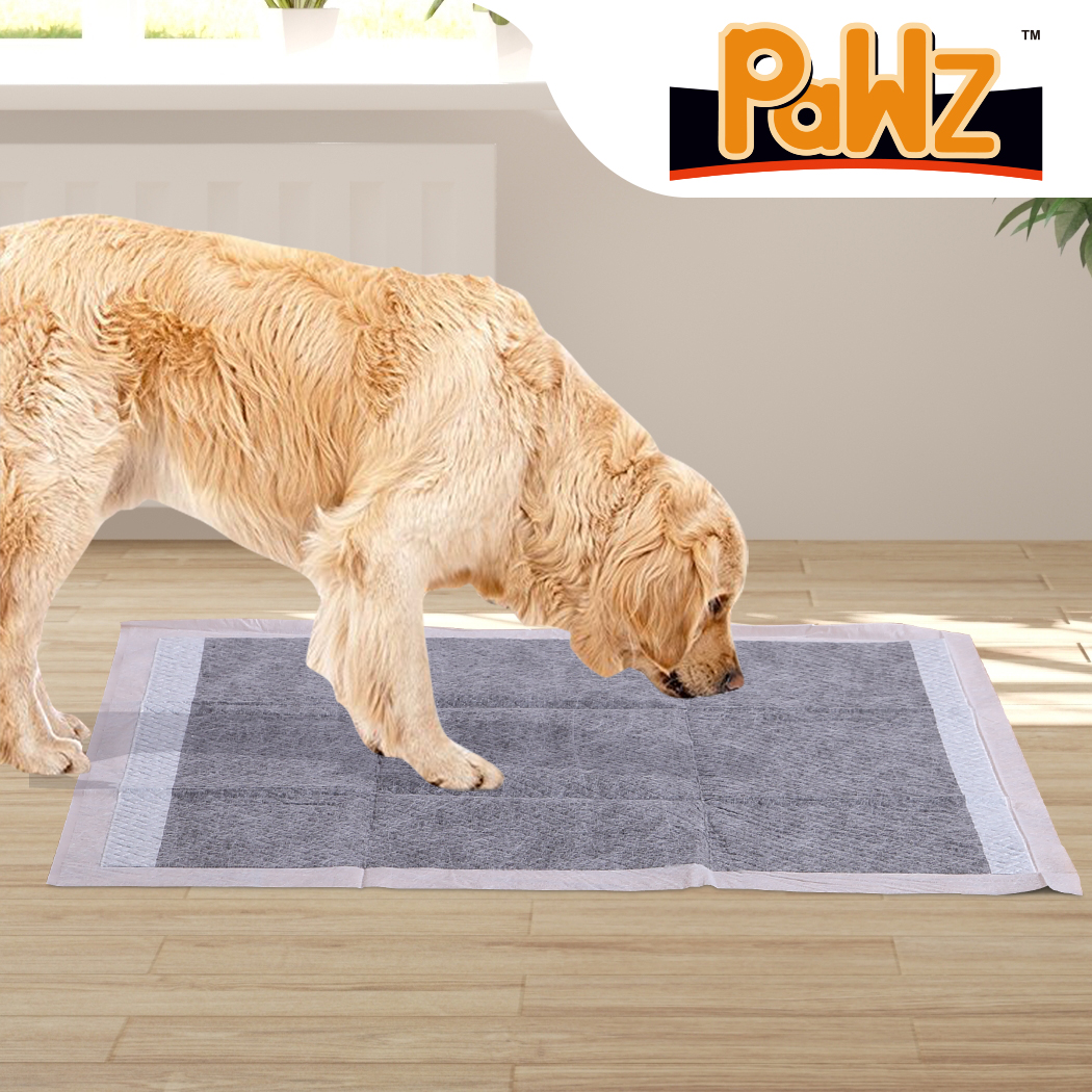 PaWz 100 Pcs 60x60cm Charcoal Pet Puppy Dog Toilet Training Pads Ultra Absorbent