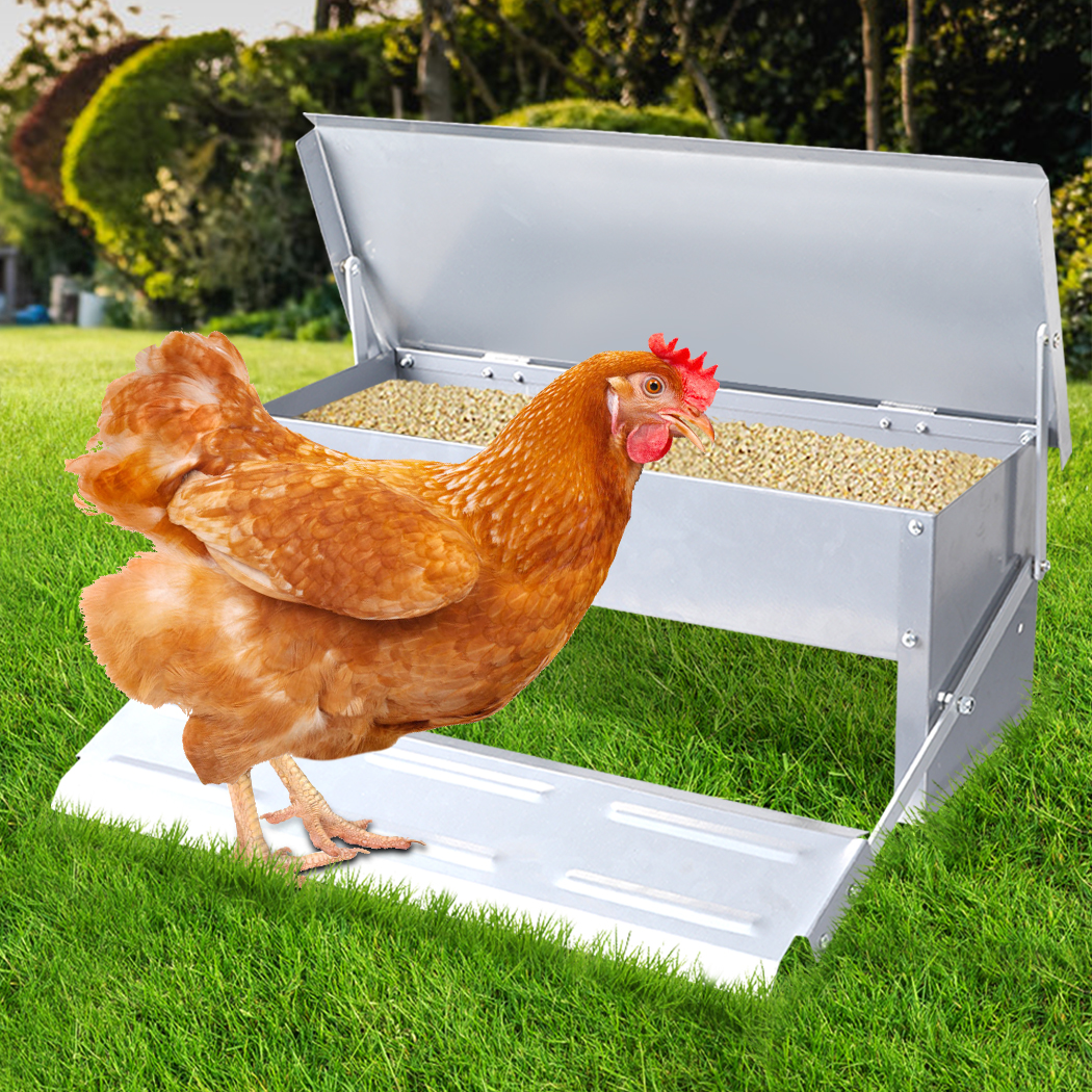 Traderight Chicken Feeder Automatic Self Opening Coop Chook Poultry Treadle 5KG