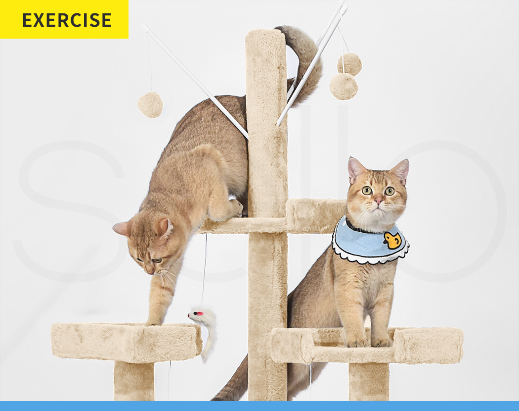 Pawz Cat Tree Scratching Post Scratcher Tower Condo House Furniture Ceiling High - Picture 99 of 195