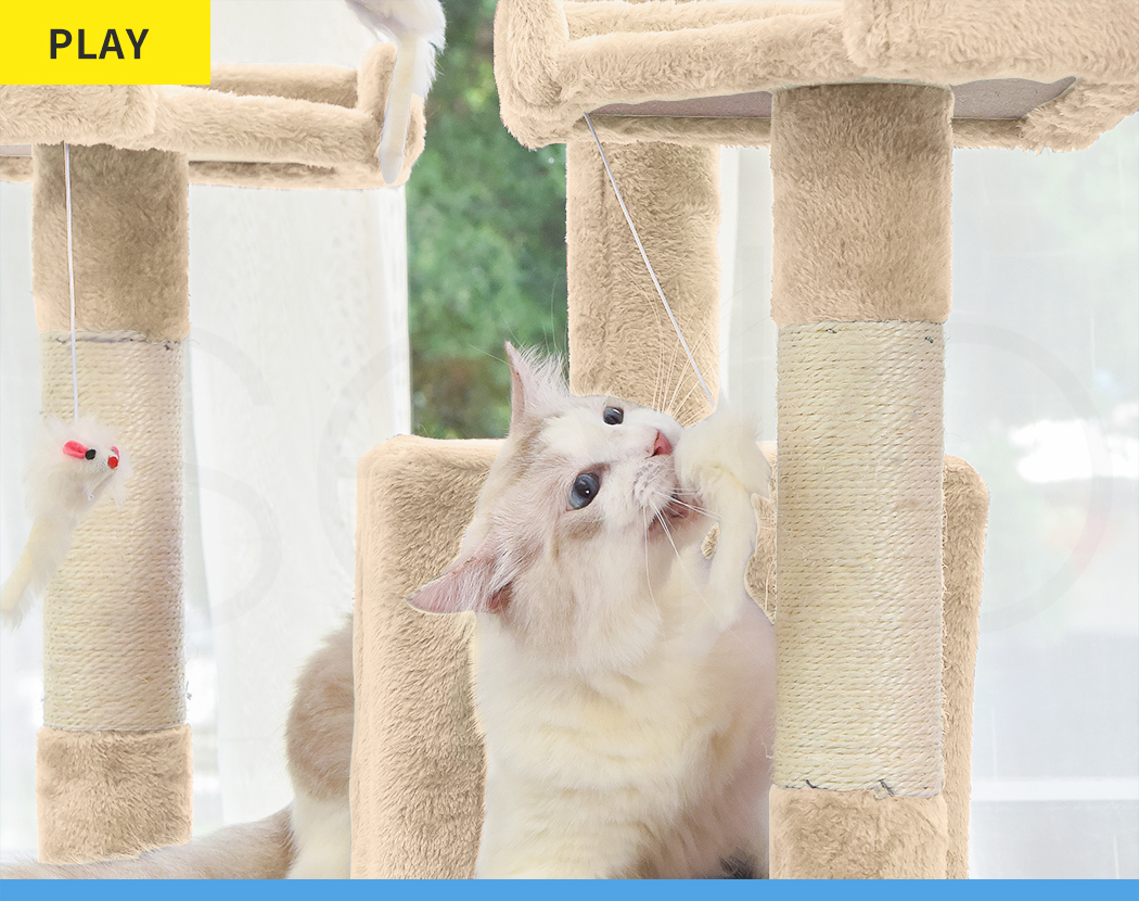 Pawz Cat Tree Scratching Post Scratcher Tower Condo House Furniture Ceiling High - Picture 100 of 195