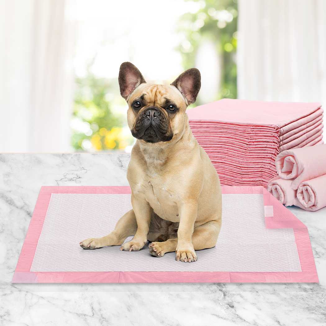 PaWz 100pcs 60x60cm Puppy Pet Dog Indoor Cat Toilet Training Pads Absorbent Pink