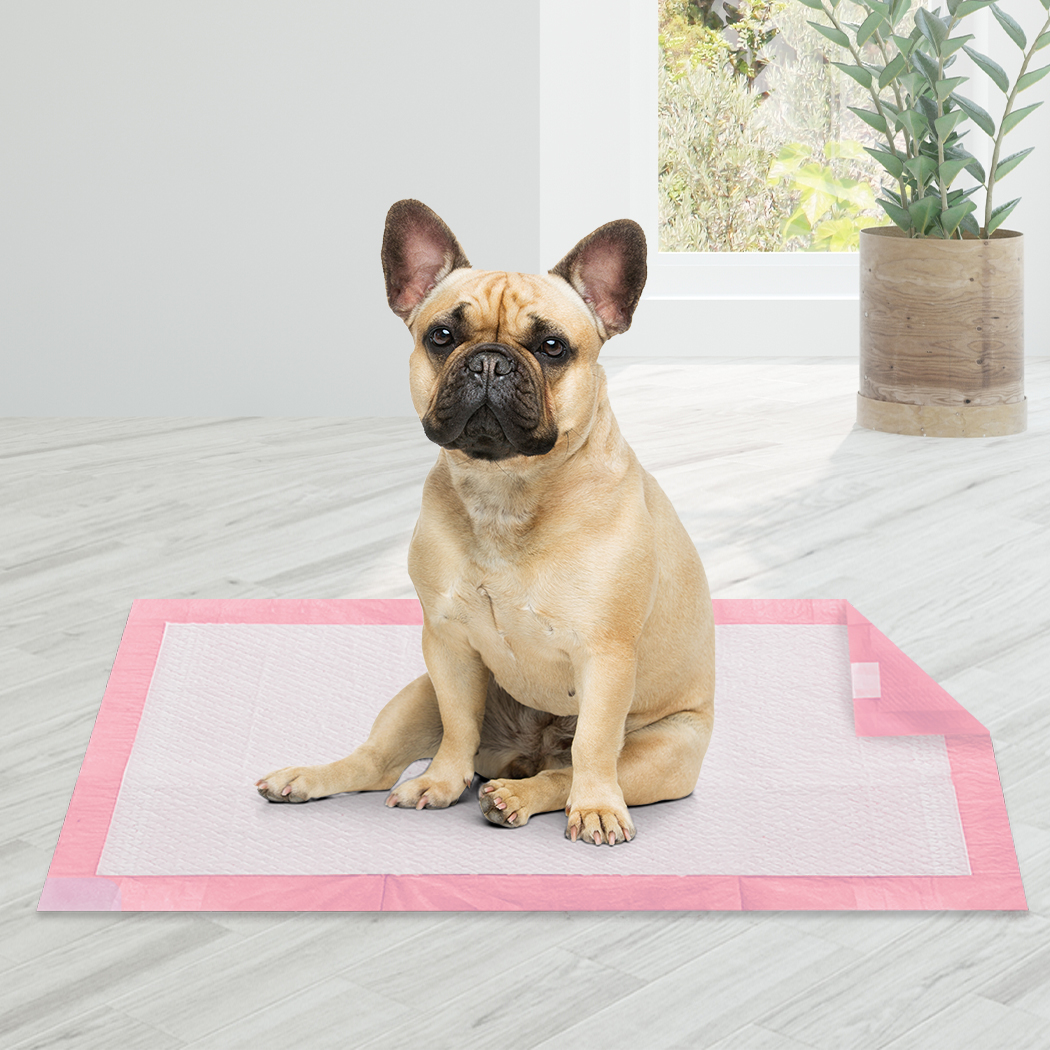 PaWz 200 Pcs 60x60cm Ultra Absorbent Puppy Pet Dog Cat Toilet Training Pads Pink