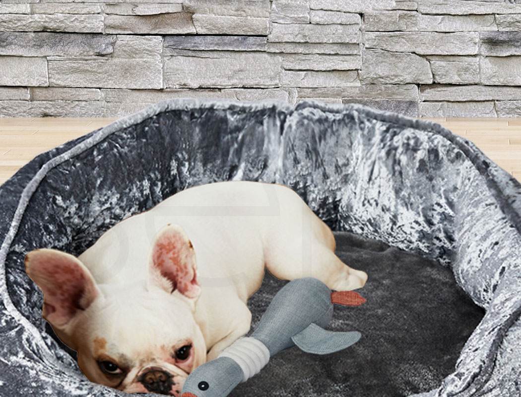 Pawz New Dog Calming Beds Set Large Removable Cover Puppy Chew Toy With Blankets - Picture 31 of 32