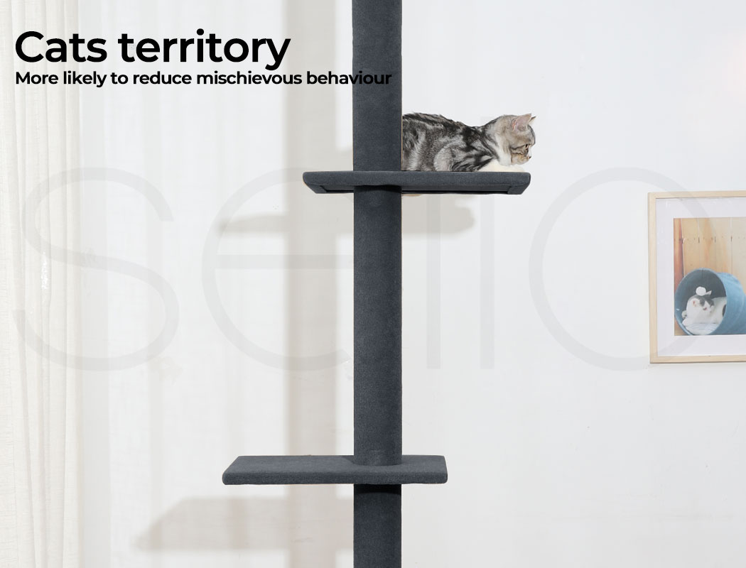 Pawz Cat Tree Scratching Post Scratcher Tower Condo House Furniture Ceiling High - Picture 156 of 195