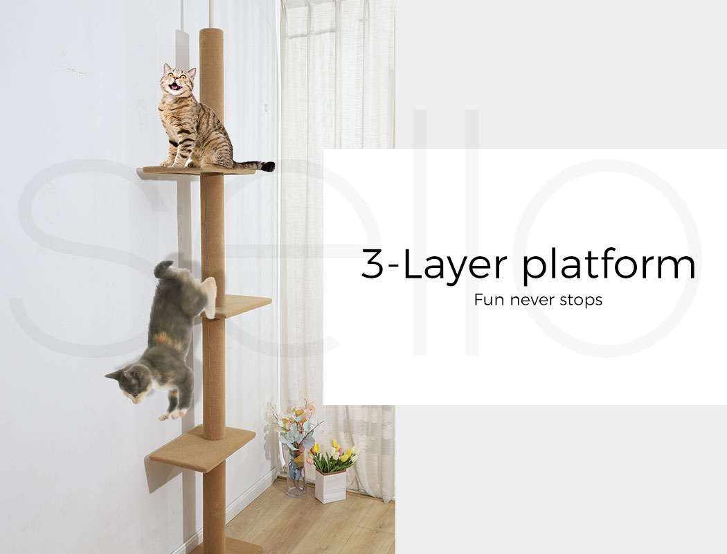 Pawz Cat Tree Scratching Post Scratcher Tower Condo House Furniture Ceiling High - Picture 146 of 195