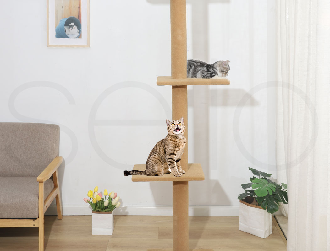 Pawz Cat Tree Scratching Post Scratcher Tower Condo House Furniture Ceiling High - Picture 150 of 195