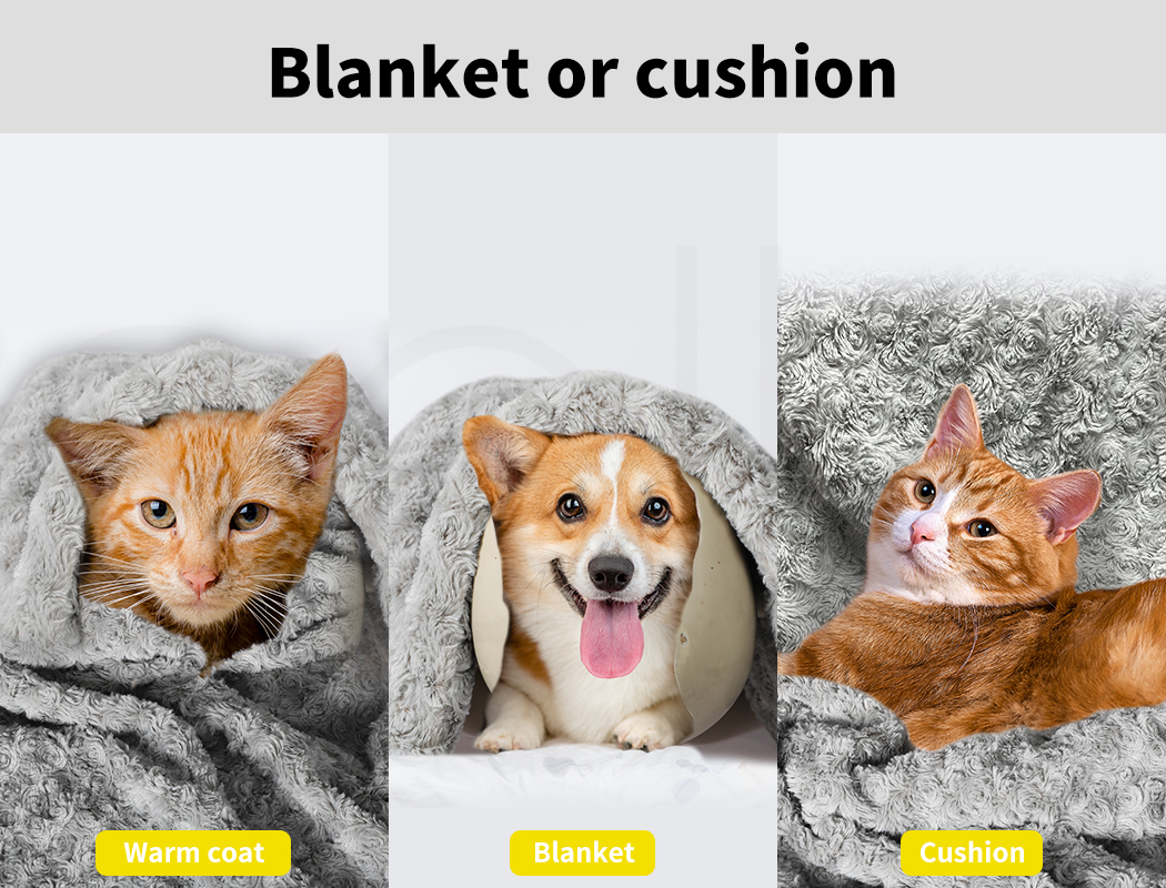 Pawz Dog Blanket Pet Cat Mat Puppy Warm Soft Plush Washable Reusable Calming Bed - Picture 29 of 52
