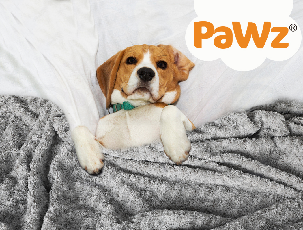 Pawz Dog Blanket Pet Cat Mat Puppy Warm Soft Plush Washable Reusable Calming Bed - Picture 36 of 52