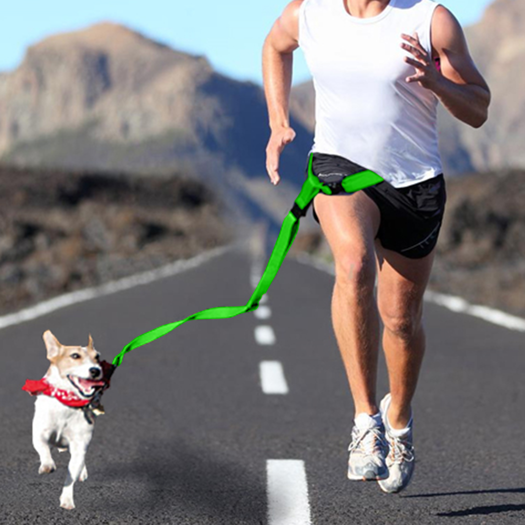 Adjustable Dog Hands Free Leash Waist Belt Buddy Jogging Walking Running Green